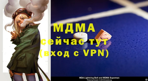 сатива Беломорск