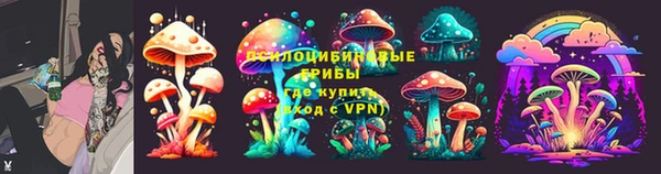 хмурый Белокуриха