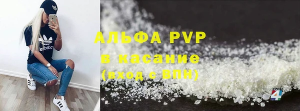сатива Беломорск