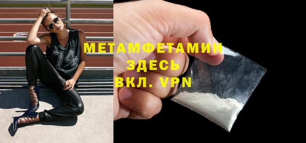 сатива Беломорск