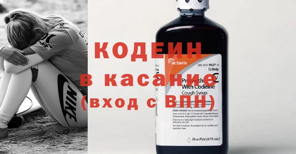 хмурый Белокуриха
