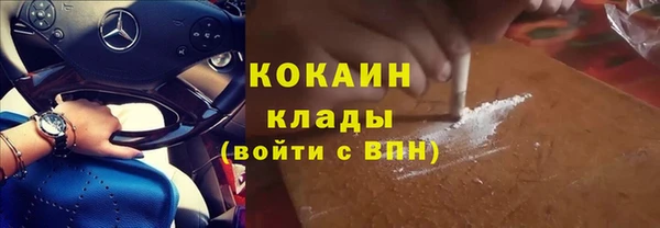 сатива Беломорск