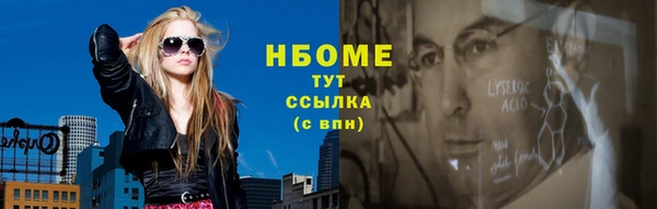 сатива Беломорск