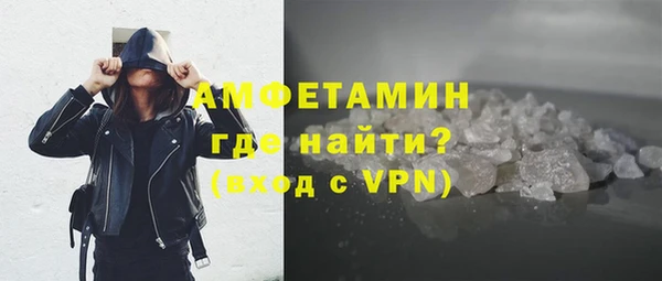 хмурый Белокуриха