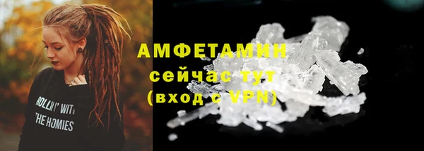 хмурый Белокуриха