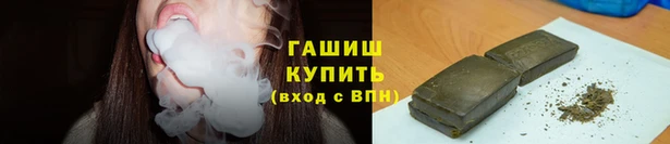 хмурый Белокуриха