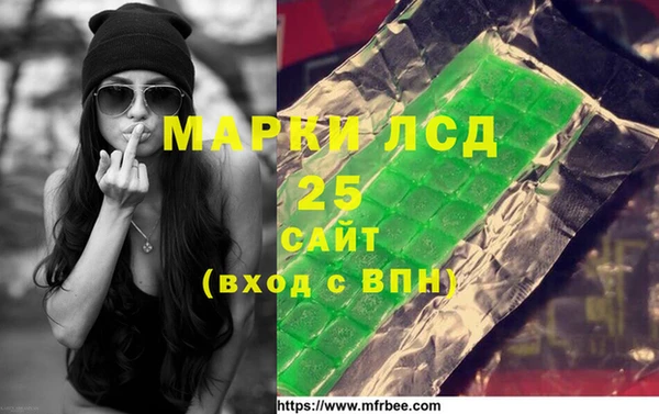 хмурый Белокуриха