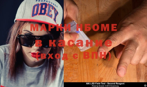 хмурый Белокуриха