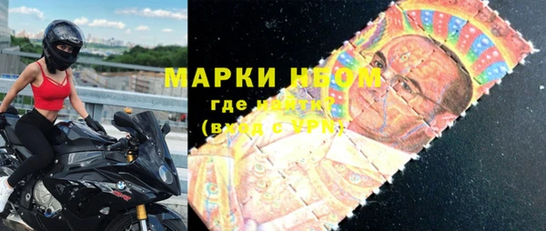 сатива Беломорск