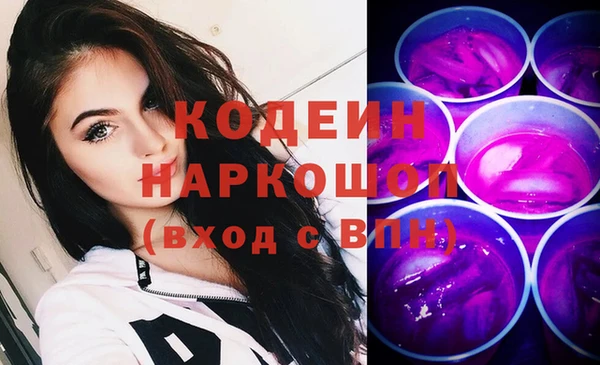 хмурый Белокуриха