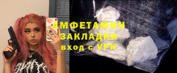 сатива Беломорск