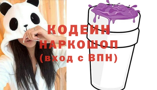 хмурый Белокуриха