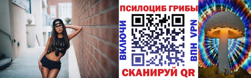 omg зеркало Красный Сулин Галлюциногенные грибы Cubensis даркнет сайт
